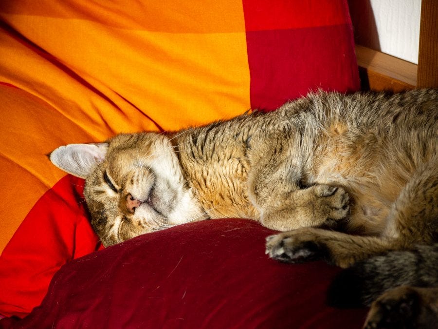 Quintus Etapes D Un Adieu 4 By Stephanie Booth Jan 21 Medium