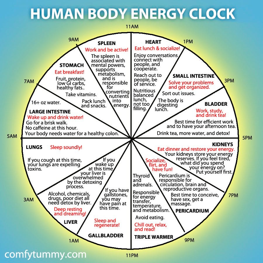 the-chinese-organ-clock-in-chinese-medical-theory-there-are-by