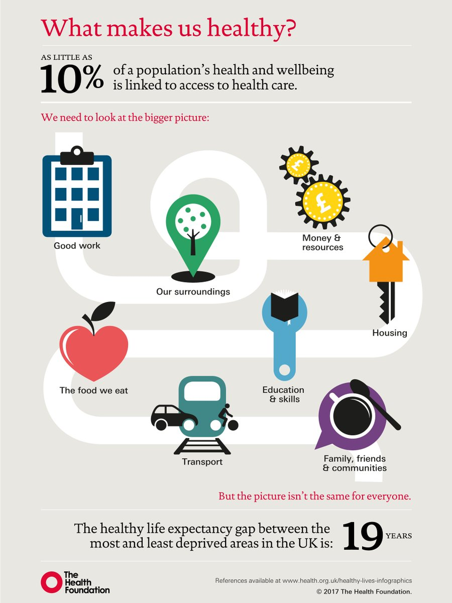 The Social Determinants of Health in the Digital Age by Joel