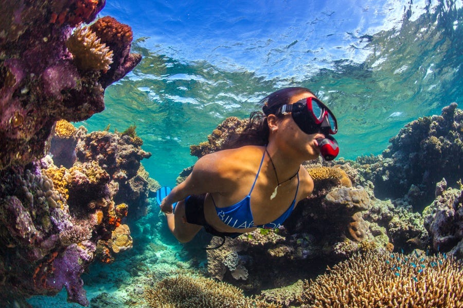 Tourism The Recession Of The Great Barrier Reef Jp Rodriguez Medium