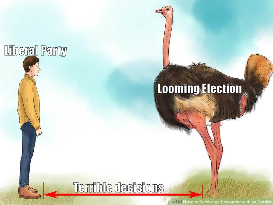 The Last 3 Months Of The Liberal Party Told In Wikihow Ostrich