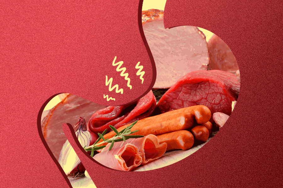 Mixing Meats Is Crippling Your Digestive Tract by Ian Lecklitner