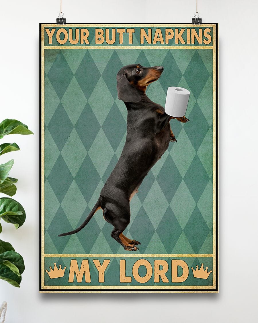 dachshund popularity