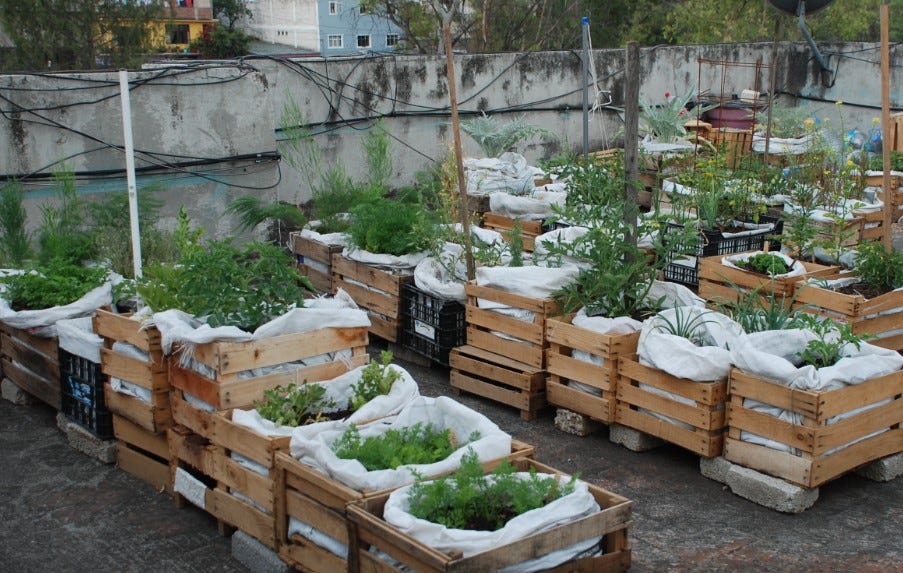 Huerto Organico En Casa Mau Kostonrodriguez Medium