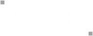 Insight Fellows Program