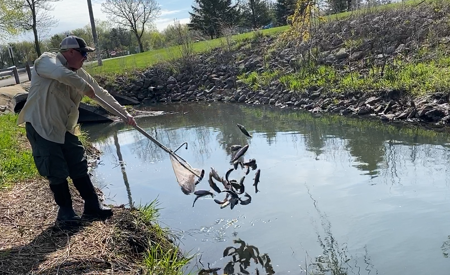 DNR stocks more trout in Austin Cedar River Watershed District Medium