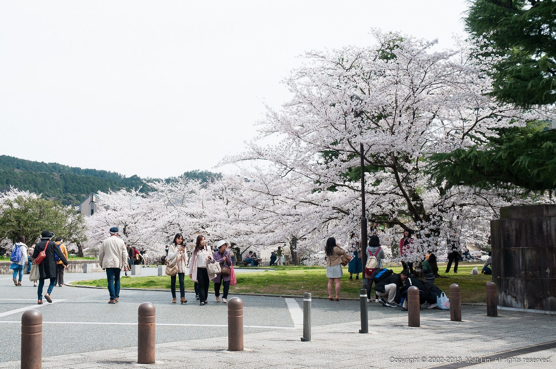 日本 關西 京都 盛開的八重枝垂櫻 平安神宮 京都市立美術館 一路從蹴上鐵道 岡崎疏水道順著道路來到平安神宮前 過個橋就是平安神宮著名的紅色大 By Speedbug 小蟲蝕光誌