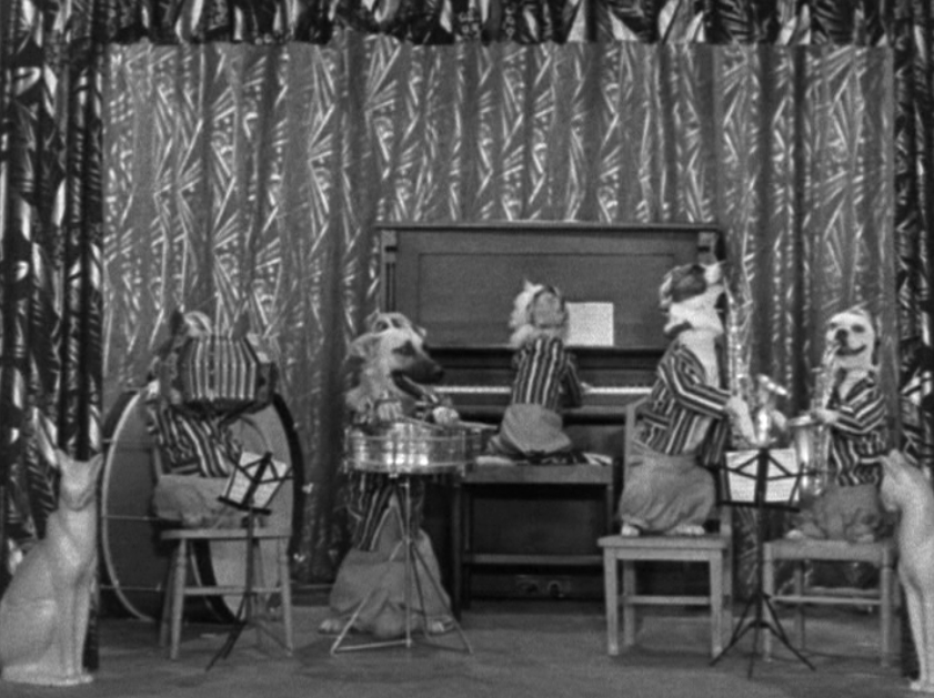 Dan Laps Up The DOGVILLE SHORTS From 