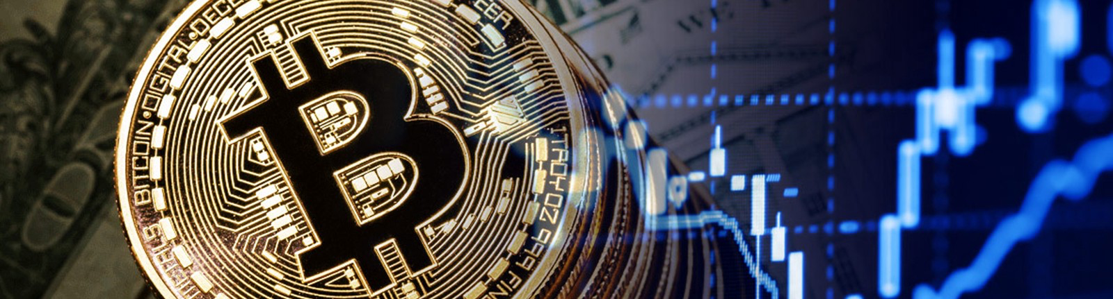 What To Look For In Cryptocurrency