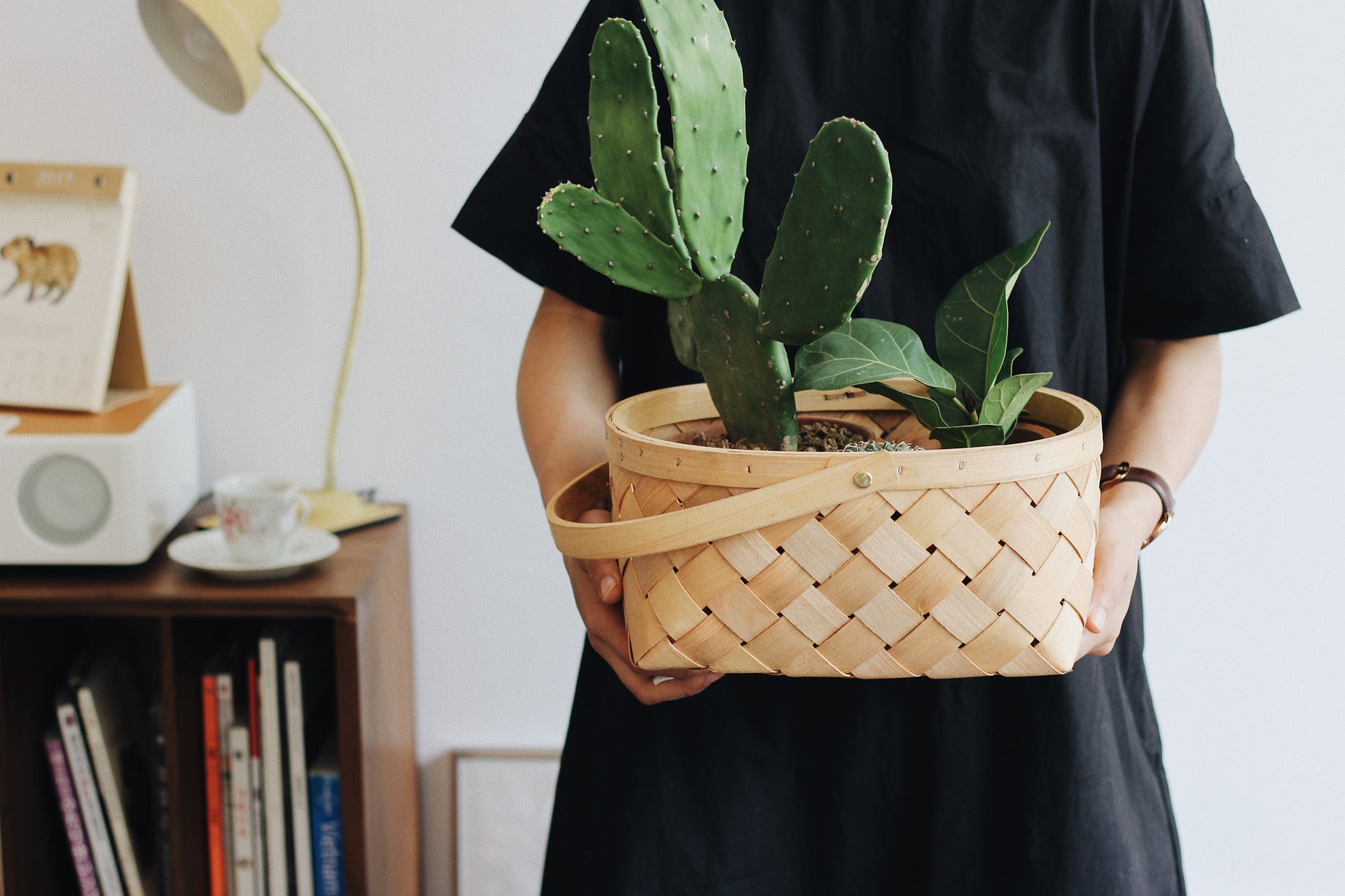 Housewives Are One Surprising Solution To Millennial Burnout - 