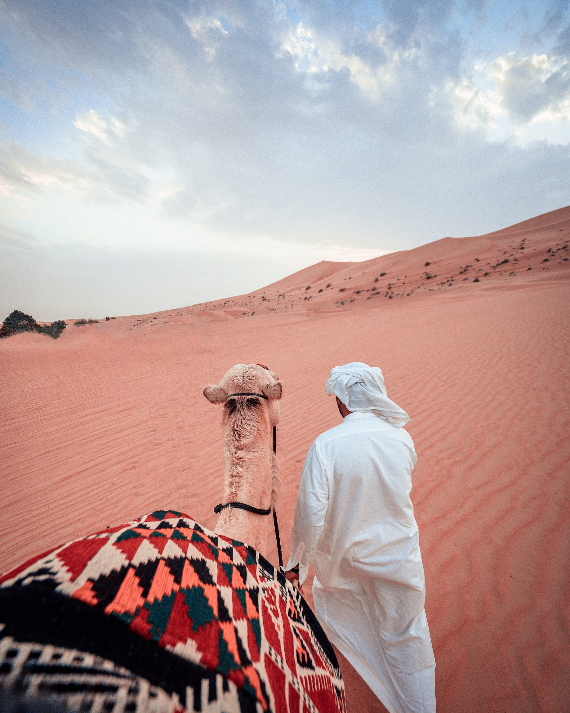5 Untranslatable Adjectives To Meticulously Describe People In Arabic By Yara Zeitoun The Shadow Medium