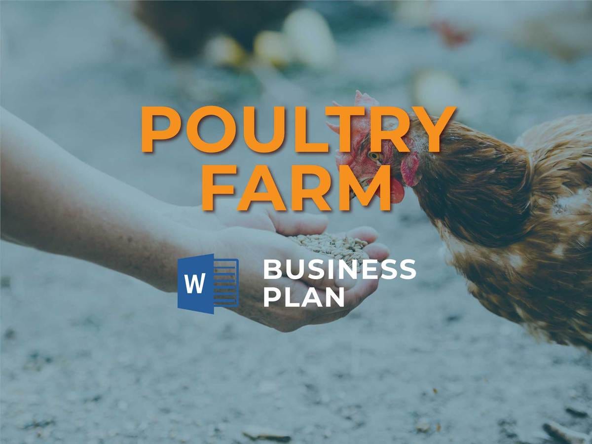 Poultry Farm Financial Model Excel Template  by Henry Sheykin Intended For Free Poultry Business Plan Template