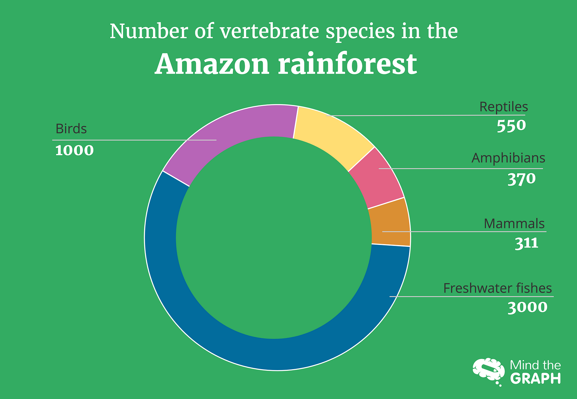 The Biodiversity Of The Amazon Rainforest In Images By Mind The Graph Age Of Awareness Medium