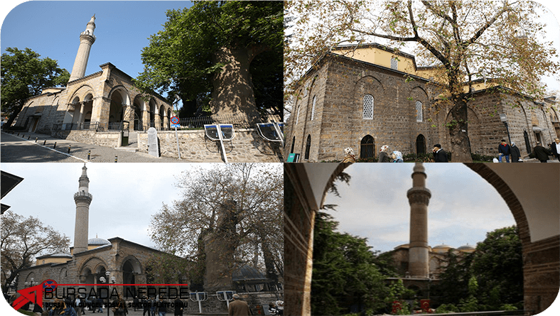 Bursa Orhangazi Orhangazi Anadolu Lisesi