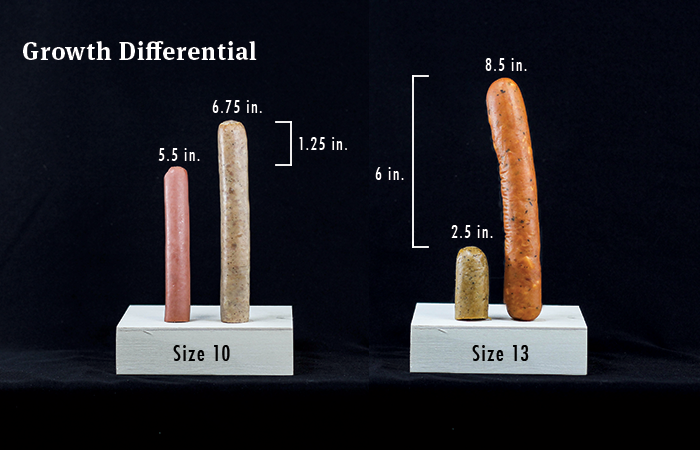 Penis size like what girls Does Penis