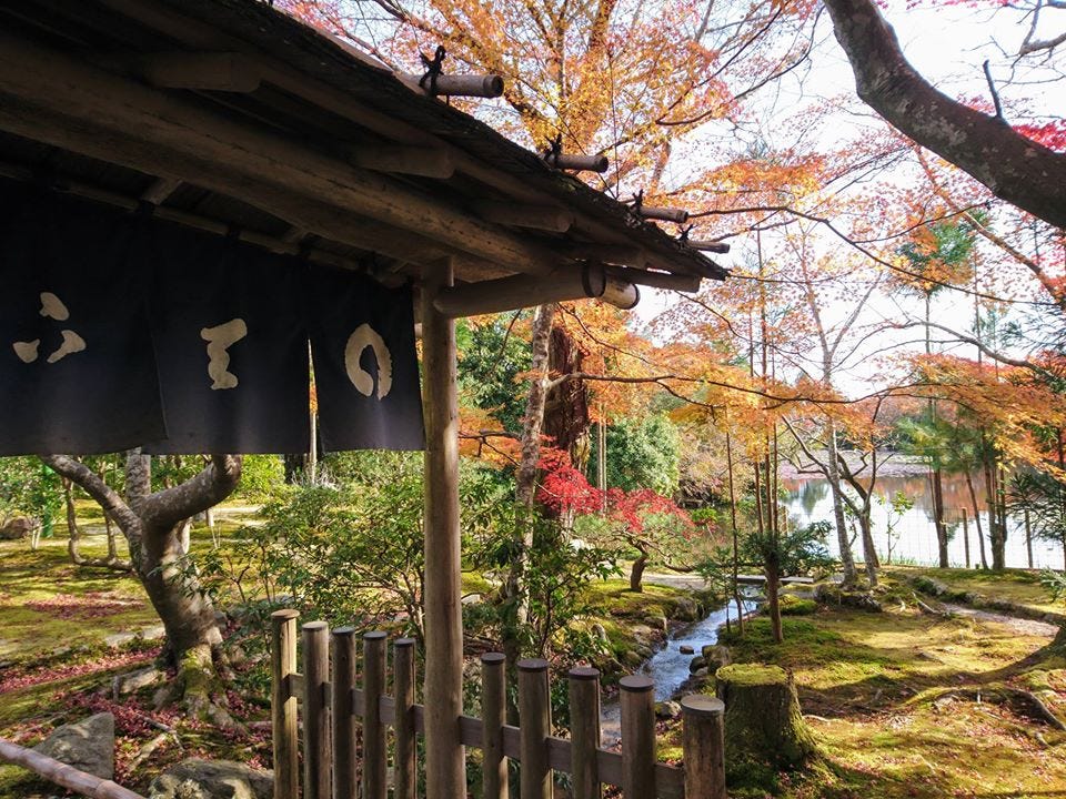 京都賞楓 妙心寺 智勝院 Am 11 15 By Ian Medium