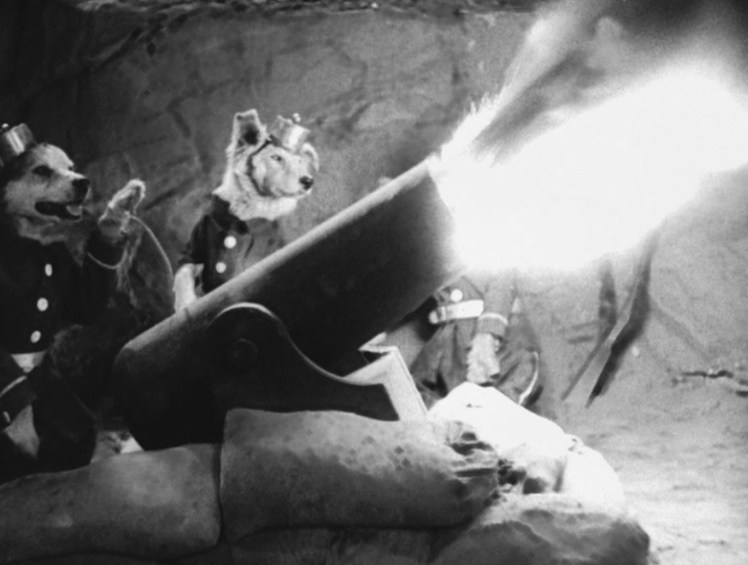 Dan Laps Up The DOGVILLE SHORTS From 