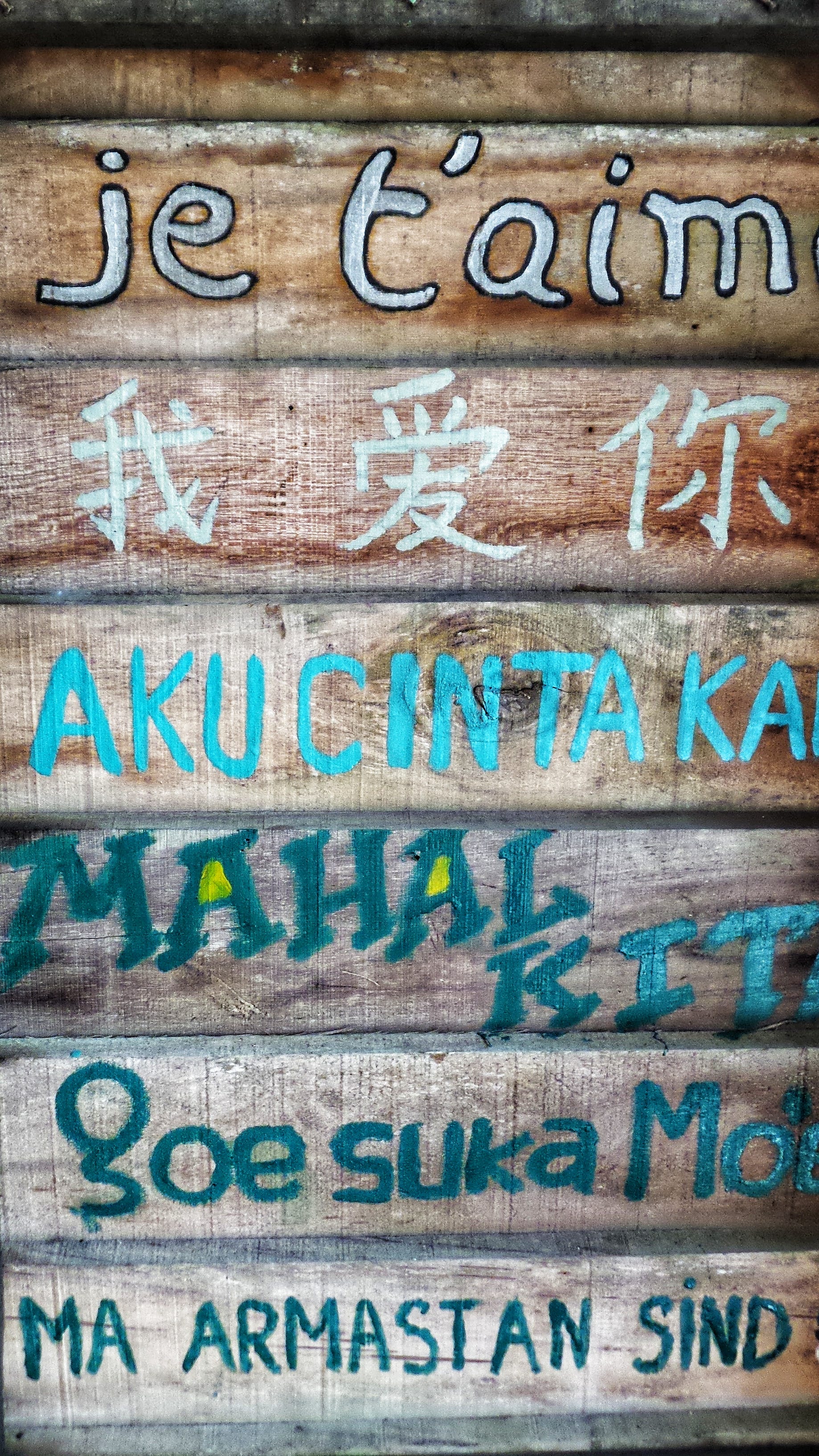 How To Become Fluent In Another Language In Just One Year Better Humans