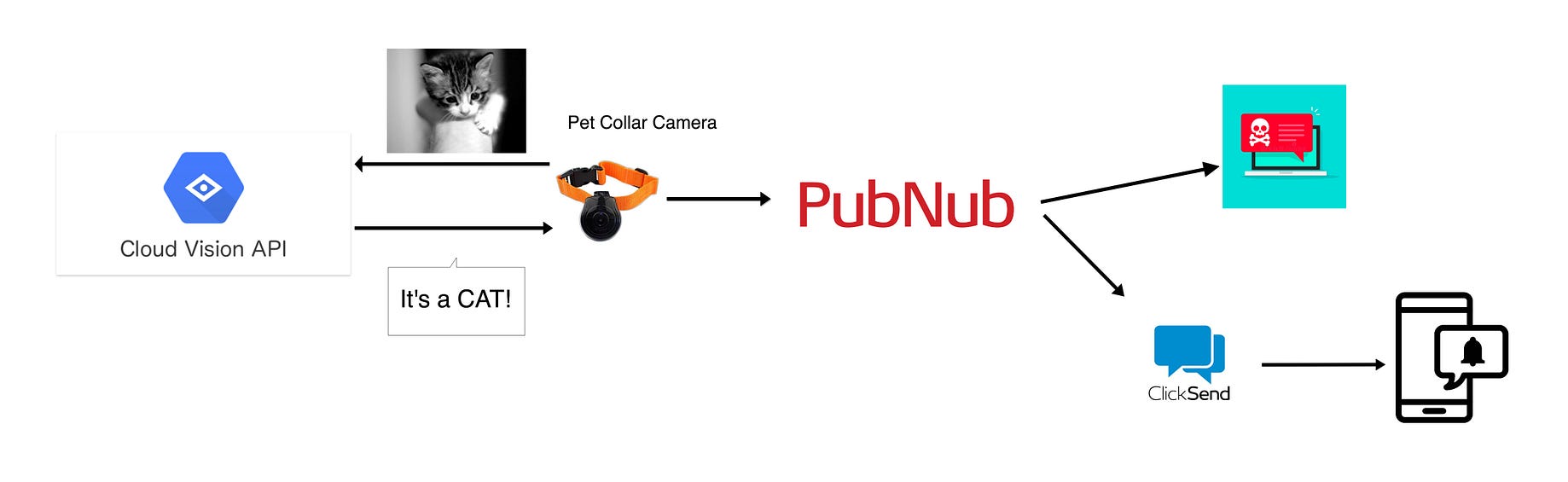 How To Use The Google Cloud Vision Api And Clicksend To Keep Tabs On Your Pets By Namratha Subramanya We Ve Moved To Freecodecamp Org News Medium