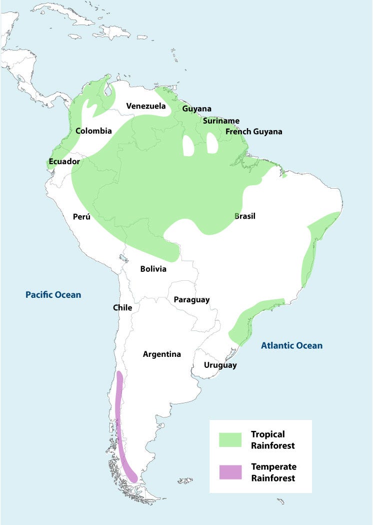 Amazon Rainforest Amazon Is The World S Largest Tropical By Md Rahat Islam Medium