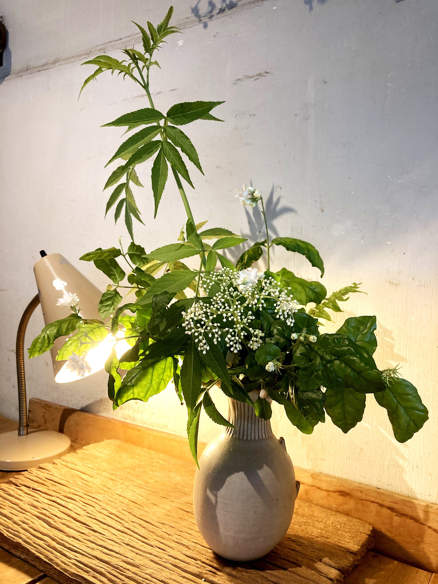 花蓮 文青日式老宅咖啡 Caffe Fiore珈琲花 坐落在花蓮市區寧靜小巷裡的caffe By Glenny 葛蘭妮 生活日常 Medium