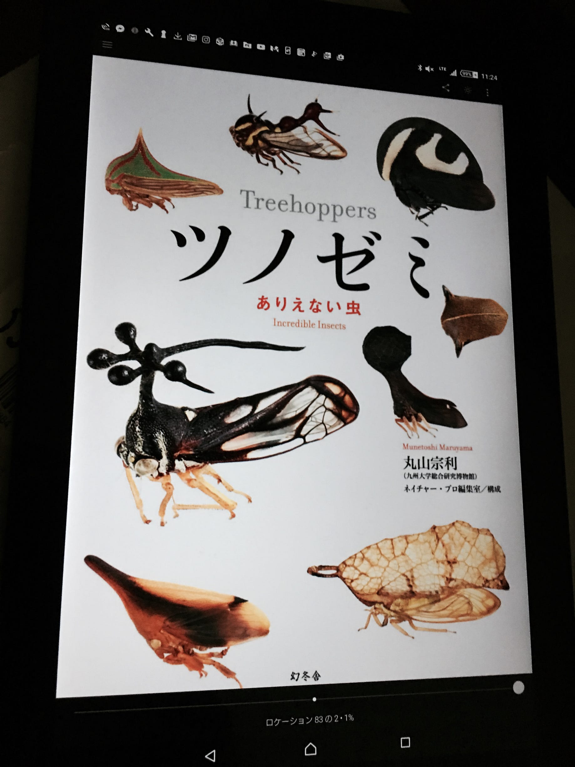 ツノゼミ ありえない虫 興味がない人ほど面白いはず 丸山宗利 著 By ジェットダイスケ Medium ツノゼミ ありえない虫 興味がない人ほど面白いはず 丸山宗利 著 By ジェットダイスケ Medium
