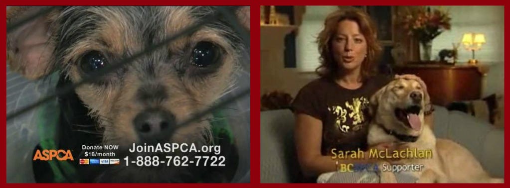 Sarah Mclachlan S Psa Angels Dogs Cats By Advanced Tv Herstory Medium