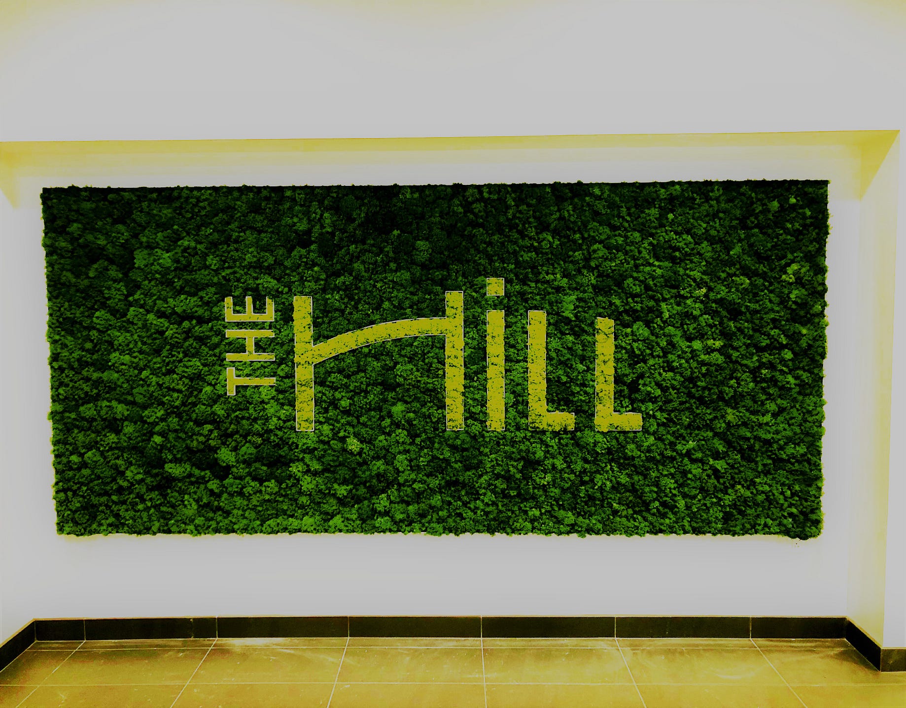 Moss Walls Versus Living Walls Which Is The Best Choice For Your Needs And Desires By The Fat Plant Society Medium