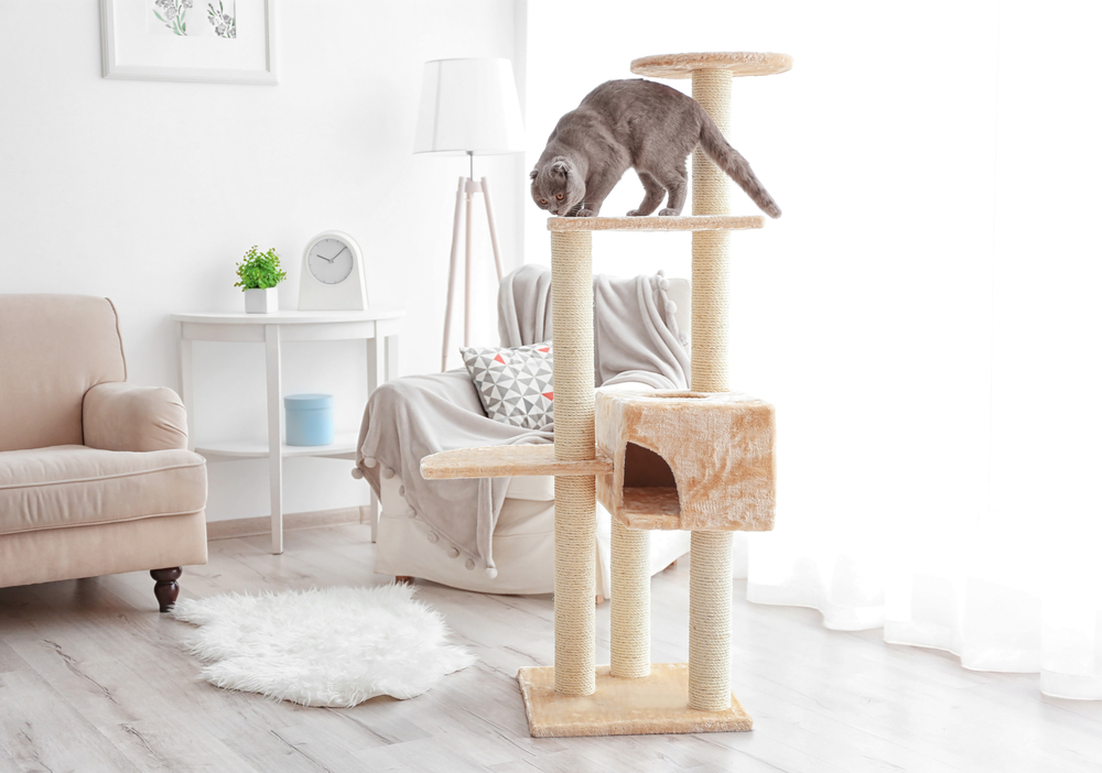 unique cat furniture