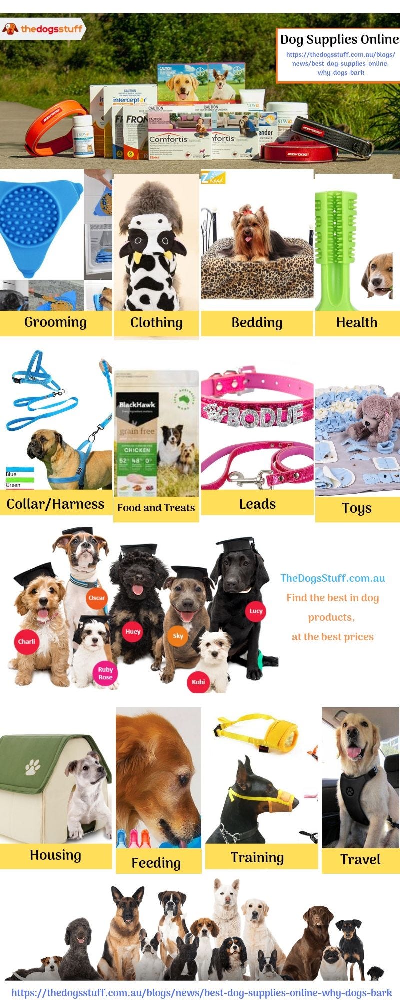 online dog supplies