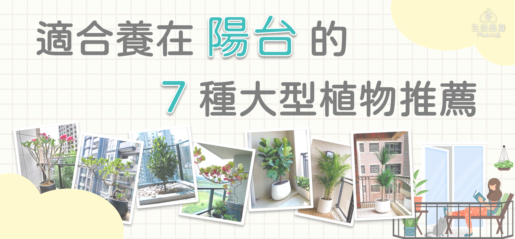 適合陽台種植的7種大型植物推薦 新手也能輕鬆擁有植感陽台 陽台養什麼樹比較好照顧呢 植物專門店經營人私藏口袋名單大公開 看看大家都養些什麼 By 彭彭