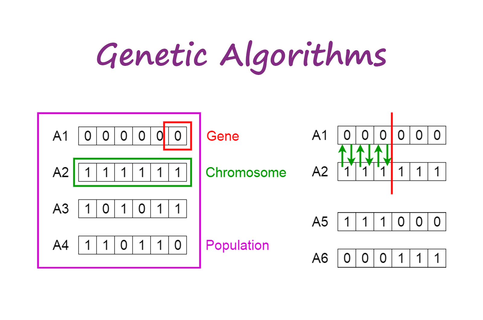 Introduction To Genetic Algorithms Including Example Code By Vijini Mallawaarachchi Towards Data Science Introduction To Genetic Algorithms Including Example Code By Vijini Mallawaarachchi Towards Data Science