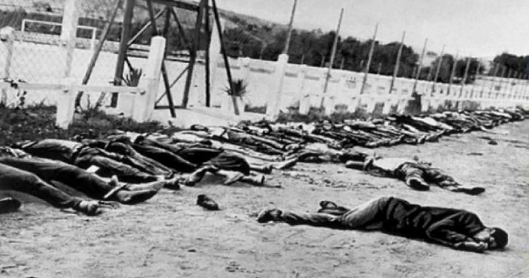 1948: Israeli Forces Massacre Villagers of Tantura | by Safa Ahmed |  Flipping The Script | Medium