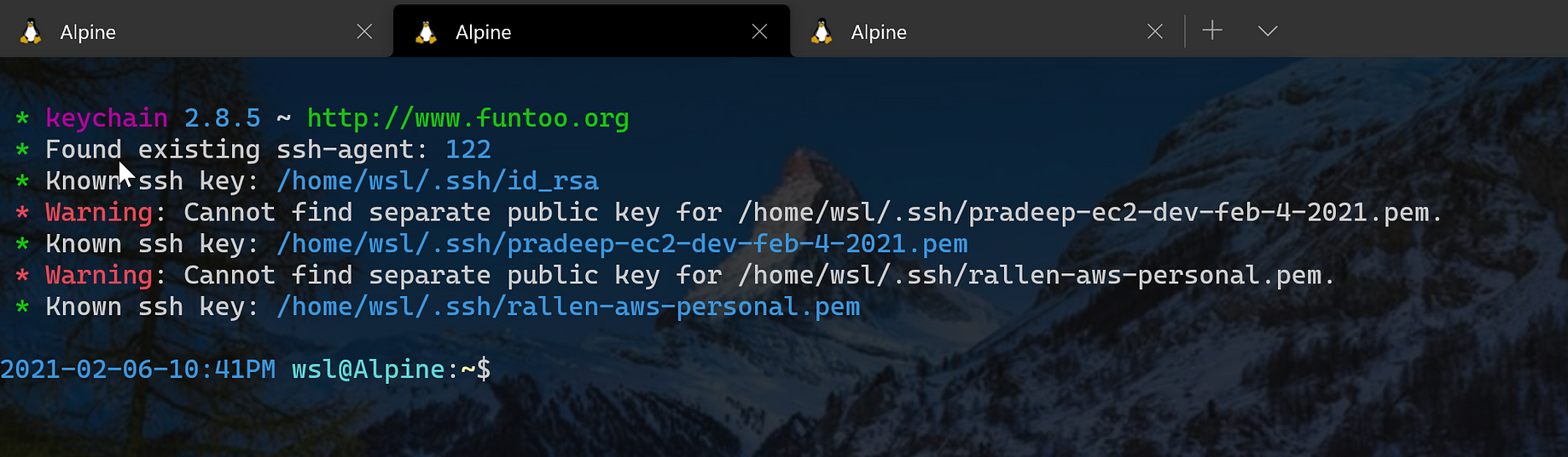 Keychain: Manage SSH Agent Sessions in Alpine Linux | by Callback Insanity  | Medium
