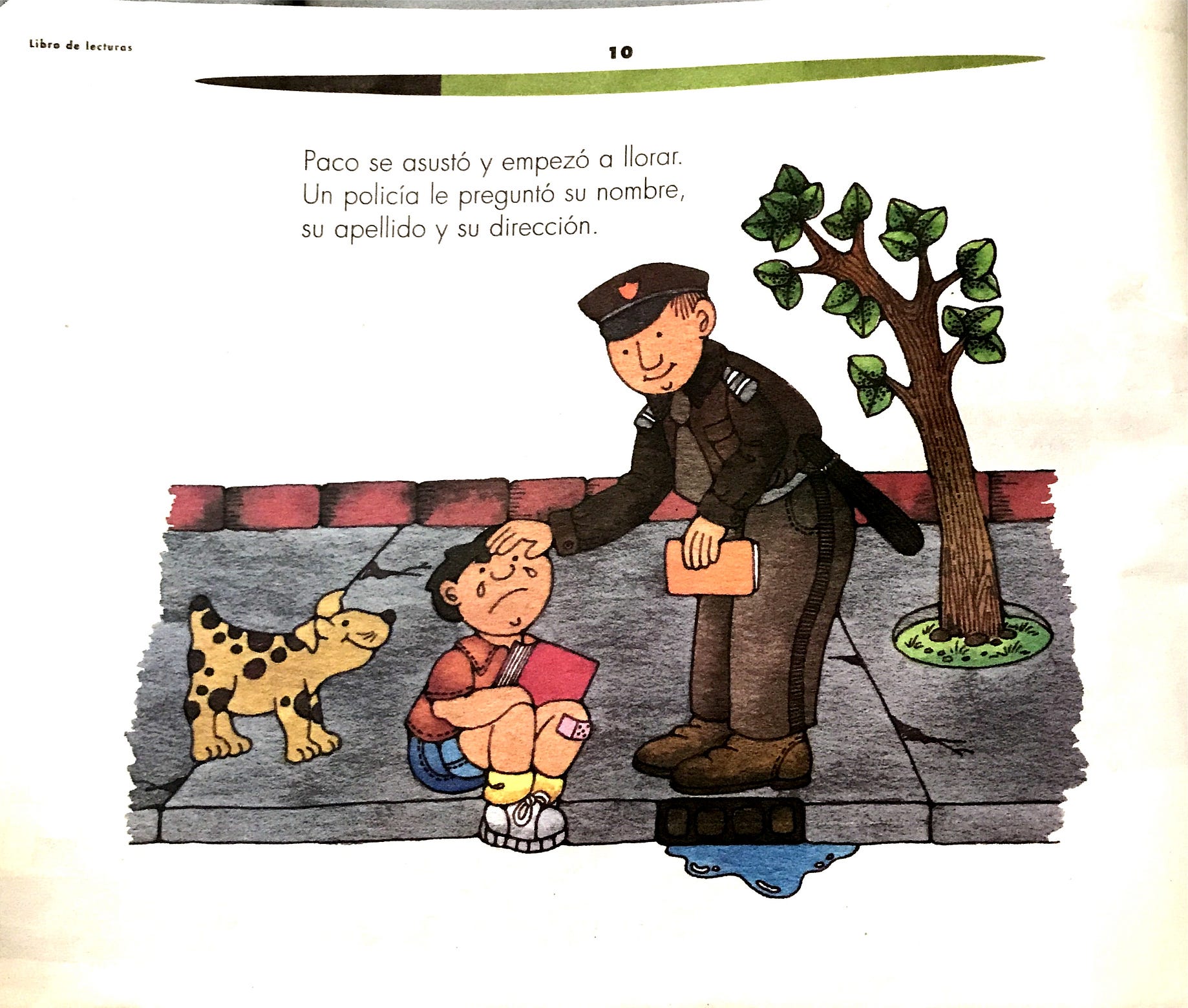 Paco El Chato Espanol Primer Grado Lecturas By Sofia Moya Medium