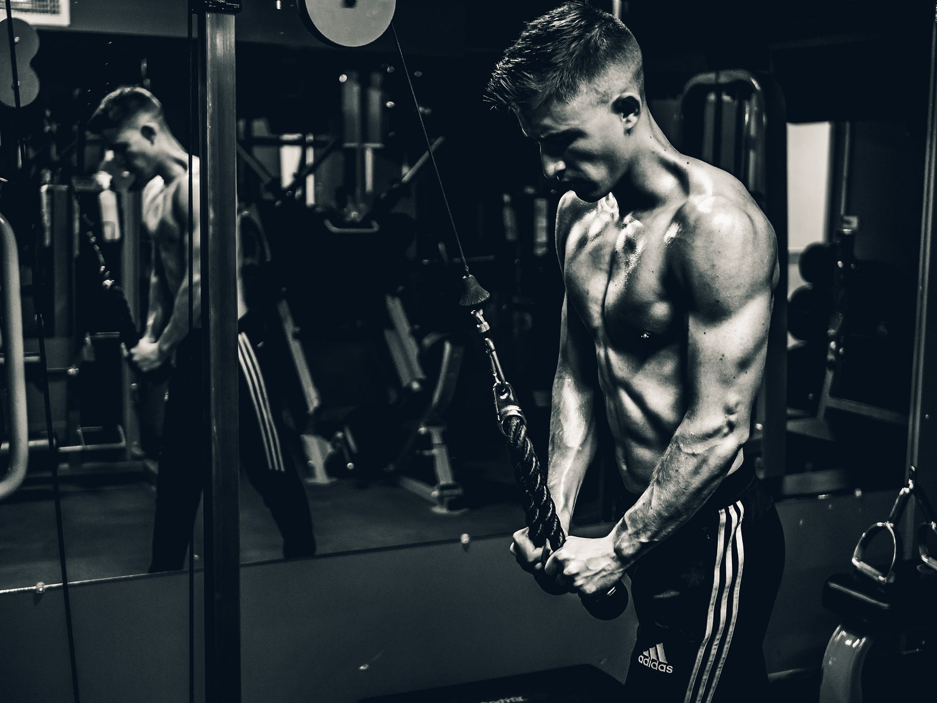 I Went From 60kg To Over 100kg Here S What I Learned By Tim Denning Ascent Publication I Went From 60kg To Over 100kg Here S What I Learned By Tim Denning Ascent Publication