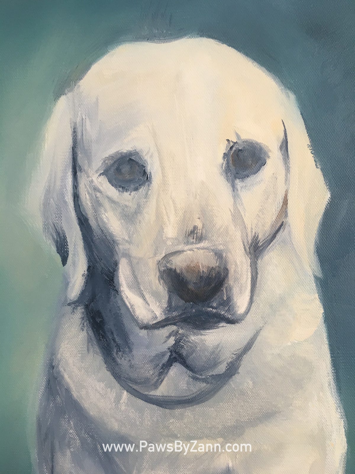 Pet Portraits In Oil 5 Painting Stages Explained With Images By Zann Hemphill Medium