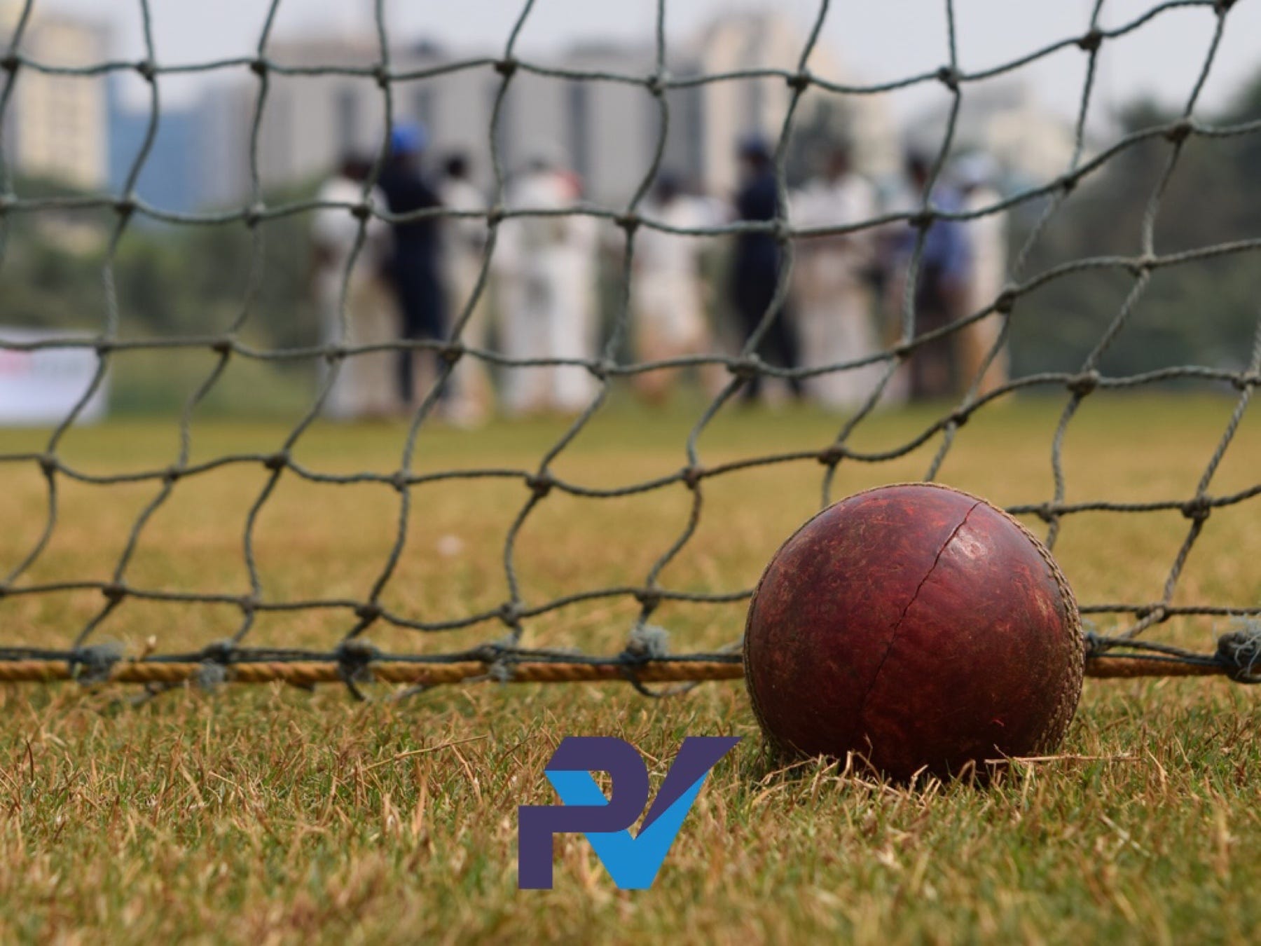 cricket training nets