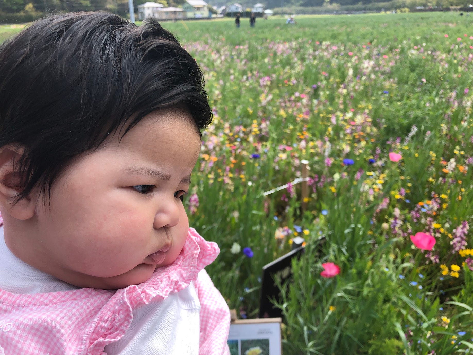 Miyuki Tamura Medium