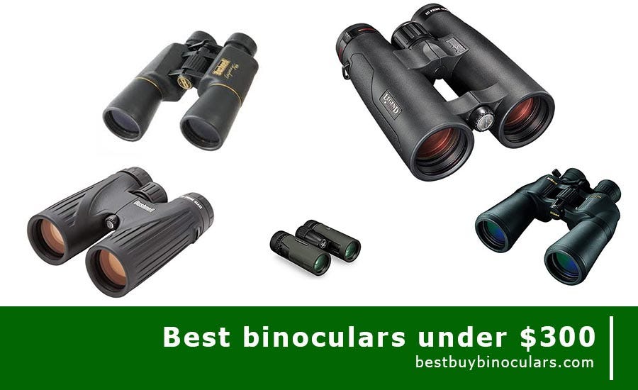 The Best Binoculars & Binocular Reviews Website