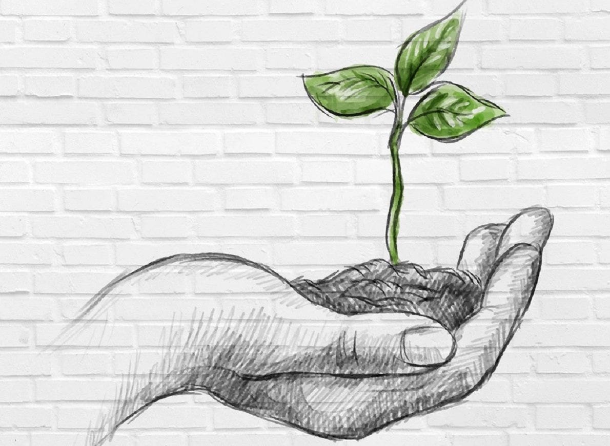 5 Reasons Eco Friendly Living Is Important By Lifestyle Tips By Antoaneta Medium
