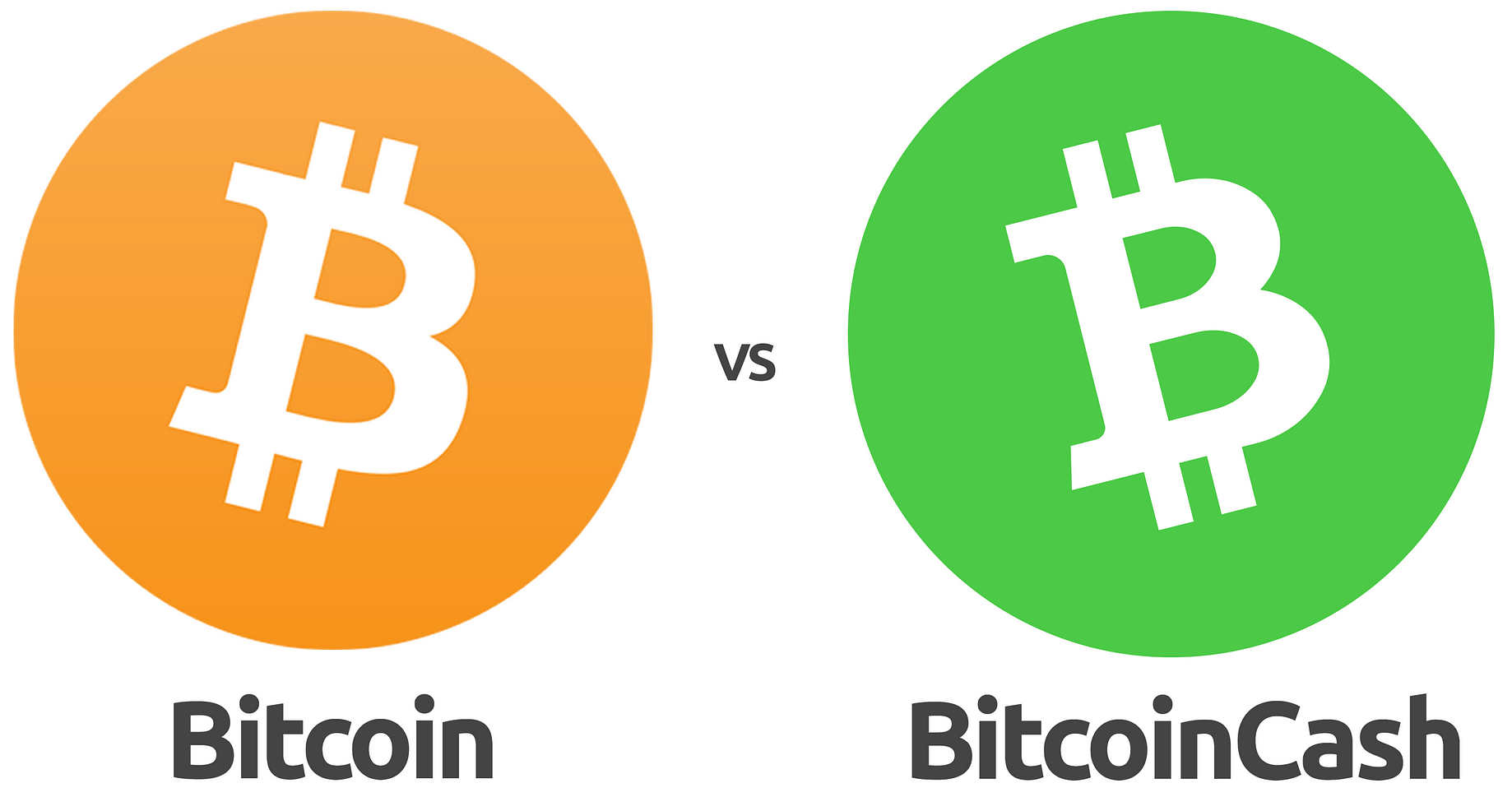 A Tale Of Two Bitcoins A Blog By Vinny Lingham - 