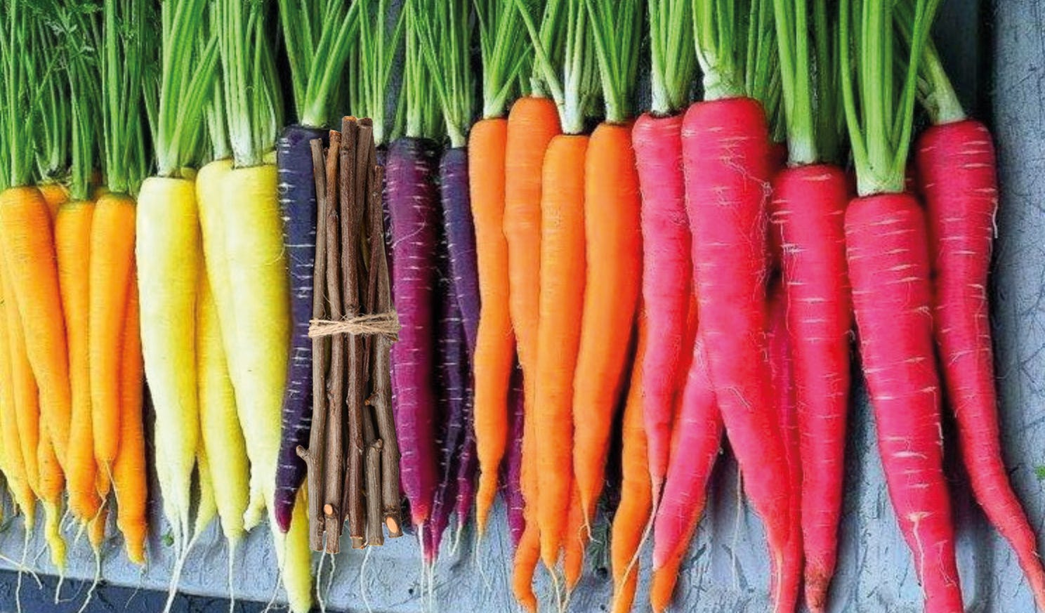 Carrot Or Stick What Motivates People To Change Their Behaviour By Charles Leon Medium