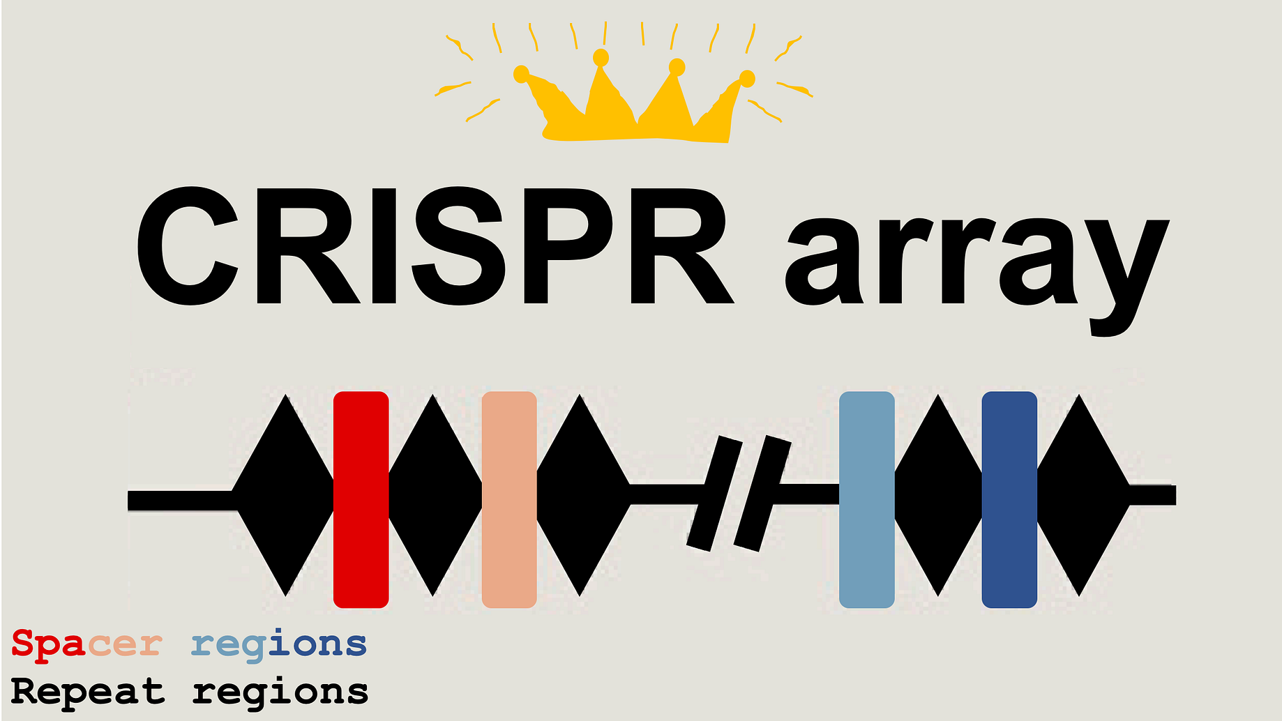 Crispr Crash Course My Informal Crispr Education Began In By Sophia Swartz Show Some Stempathy Medium Crispr Crash Course My Informal Crispr Education Began In By Sophia Swartz Show Some Stempathy Medium