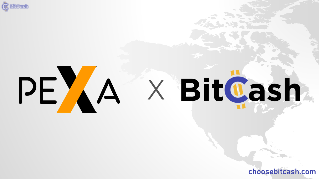 Increase Engagement With Bitcash Twitter Tipbot By Bitcash Medium