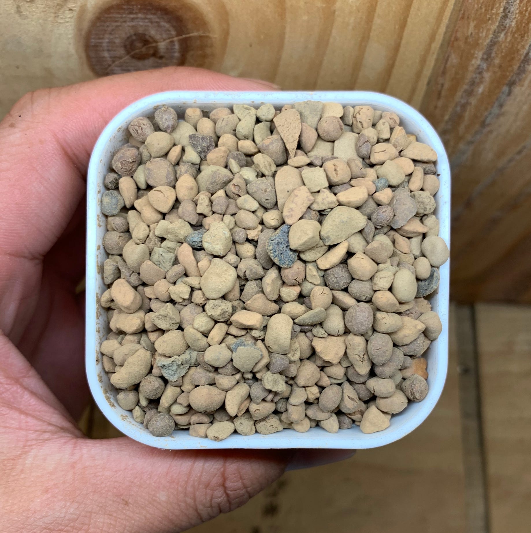 種多肉要用什麼土 介質 盆器全解析 Roger Wang Medium
