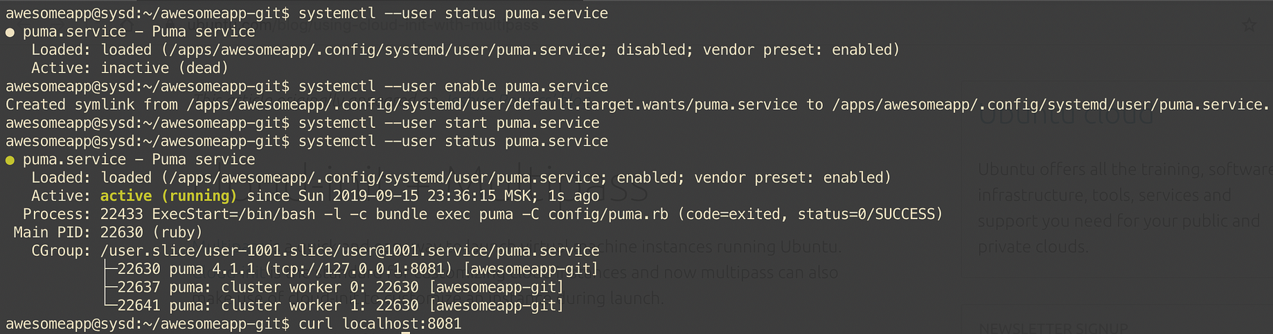 Managing Unicorn & Puma web servers with systemd | by Igor Kuznetsov |  Medium