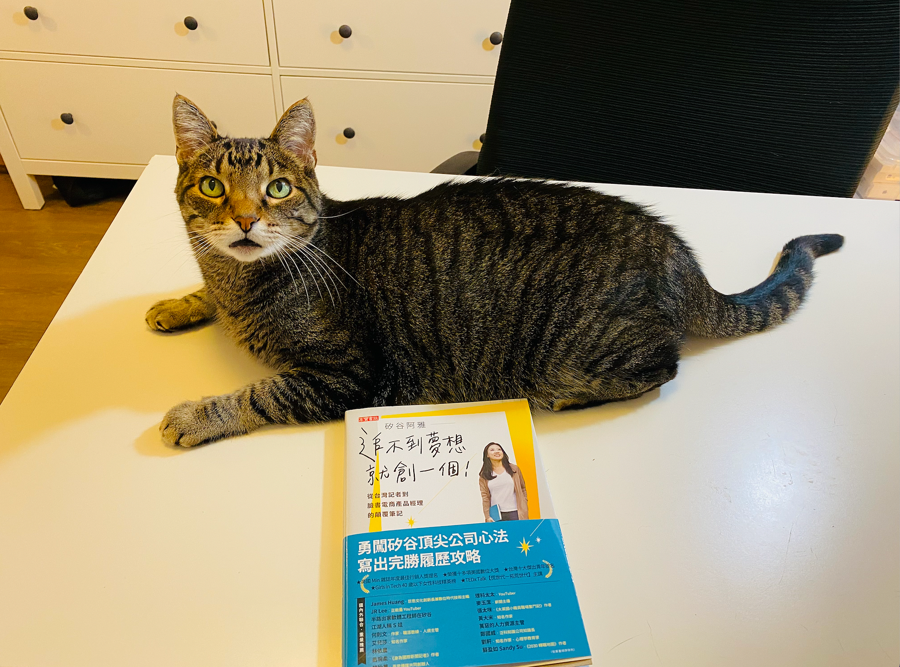 防疫在家無聊 矽谷阿雅防疫書單 28本職涯規劃書 Anya Cheng 矽谷阿雅 Medium 防疫在家無聊 矽谷阿雅防疫書單 28本職涯規劃書 Anya Cheng 矽谷阿雅 Medium