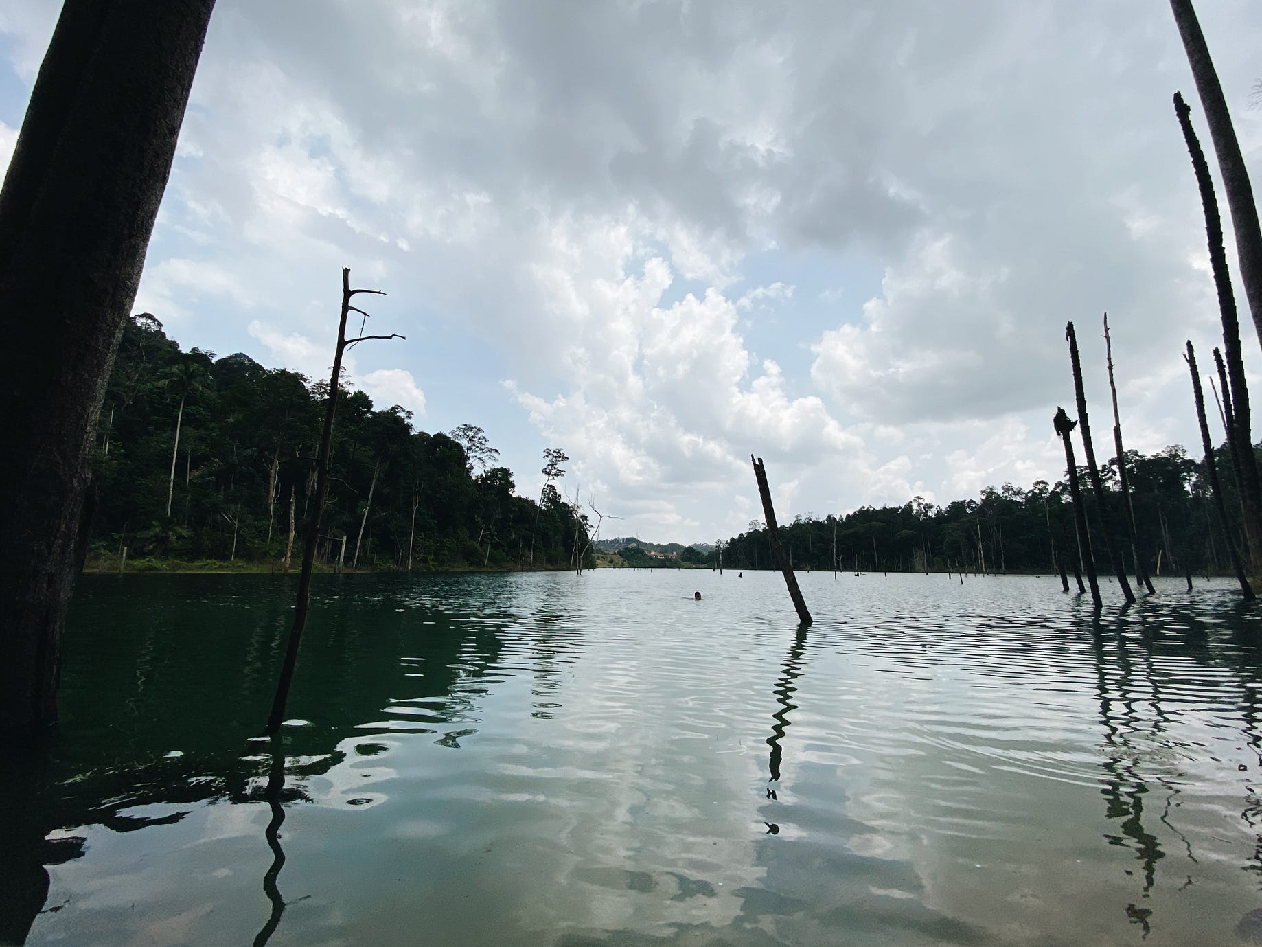 Malaysian Stakeholder Response To The Un Special Rapporteur On Human Rights And The Environment By Jefferi Hamzah Sendut Medium