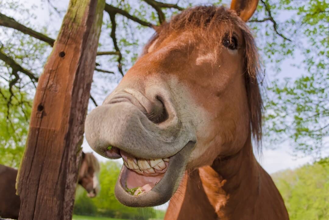 13 Tips Guaranteed To Make A Funny Script Hilarious By Mike Johnston Medium 13 Tips Guaranteed To Make A Funny Script Hilarious By Mike Johnston Medium